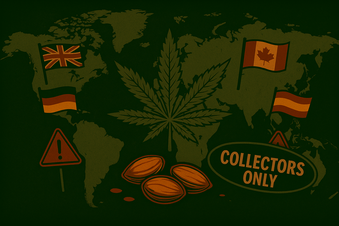 ๐ In welchen Lรคndern ist der Verkauf von Cannabis-Samen legal?