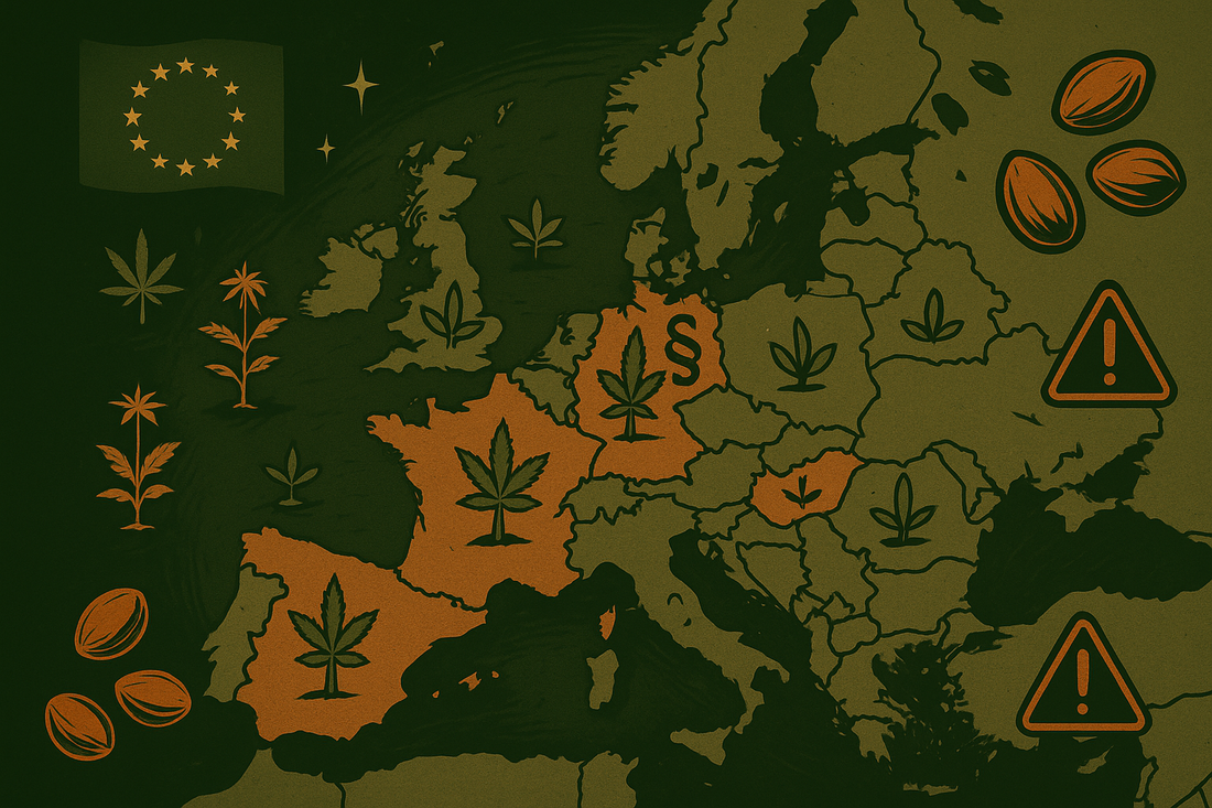 ๐ช๐บ Wie gehtโs weiter mit dem europรคischen Markt?